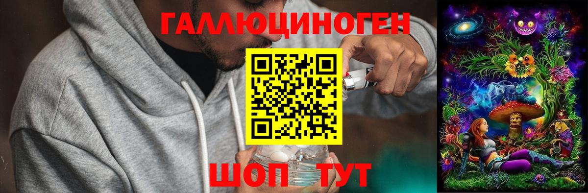 Камышлов  Галлюциногенные грибы прущие грибы  Вход с VPN 